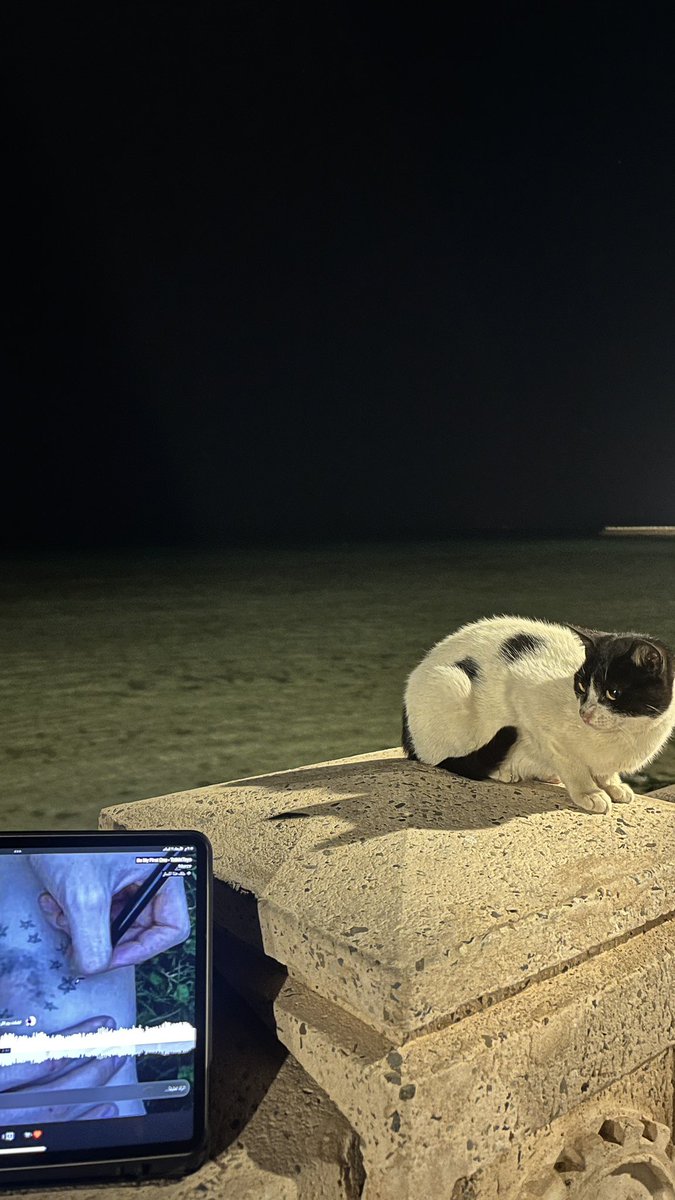 1rxur's tweet photo. انا والمياو نتأمل النجوم 🐈🌠 https://t.co/fX2ZhLwRKi