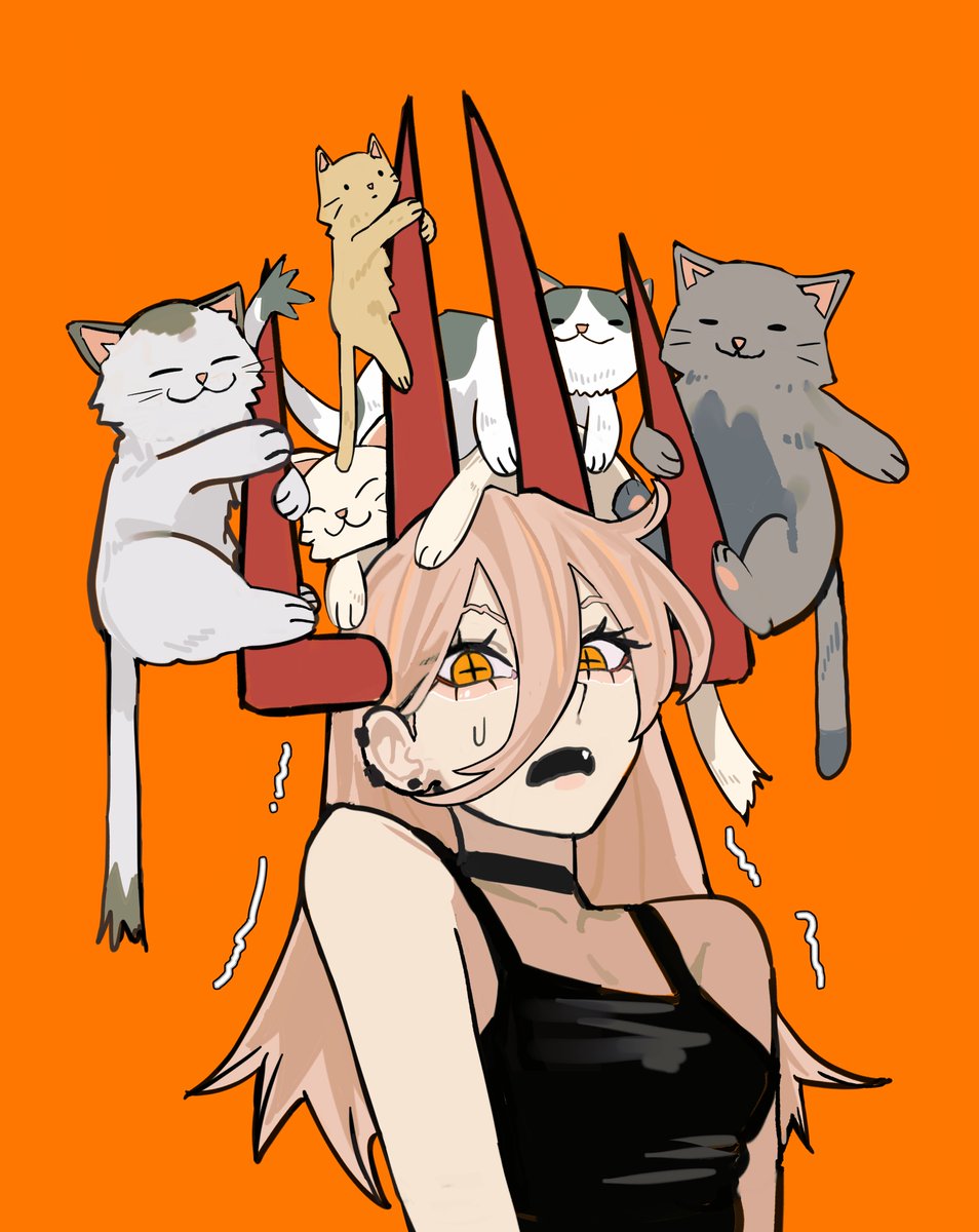 Sailen0's tweet photo. Powyy's Cat Stack Challenge https://t.co/ZF7lhf7LCi