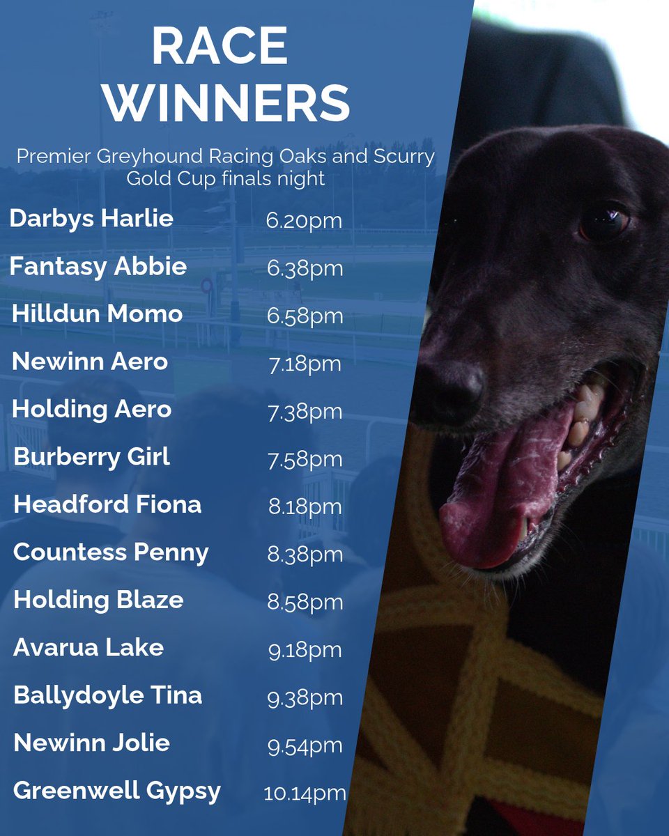 DunstallDogs's tweet photo. That's a wrap on our final finals night of 2026 ✅

Congratulations to connections of all our winners this evening, especially our Category One champions:

🐶 Avarua Lake
🐶 Ballydoyle Tina

Safe trip home to everyone who joined us.

#DunstallPark 🐾 https://t.co/AJrO5BzduA