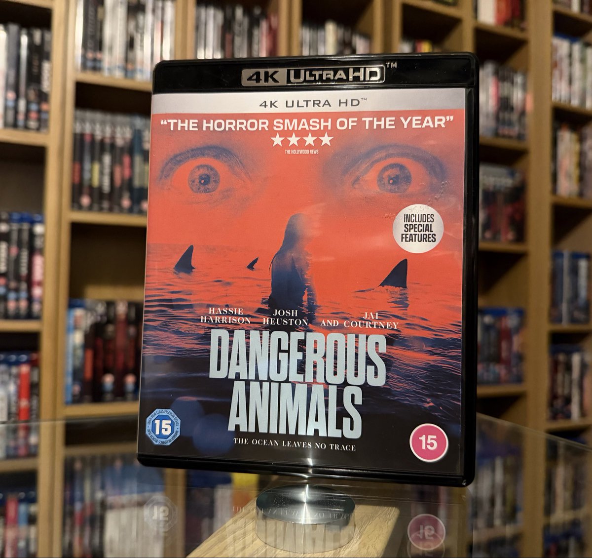 Firstscreamto's tweet photo. Now watching. 🦈 https://t.co/EahmK3UyOp