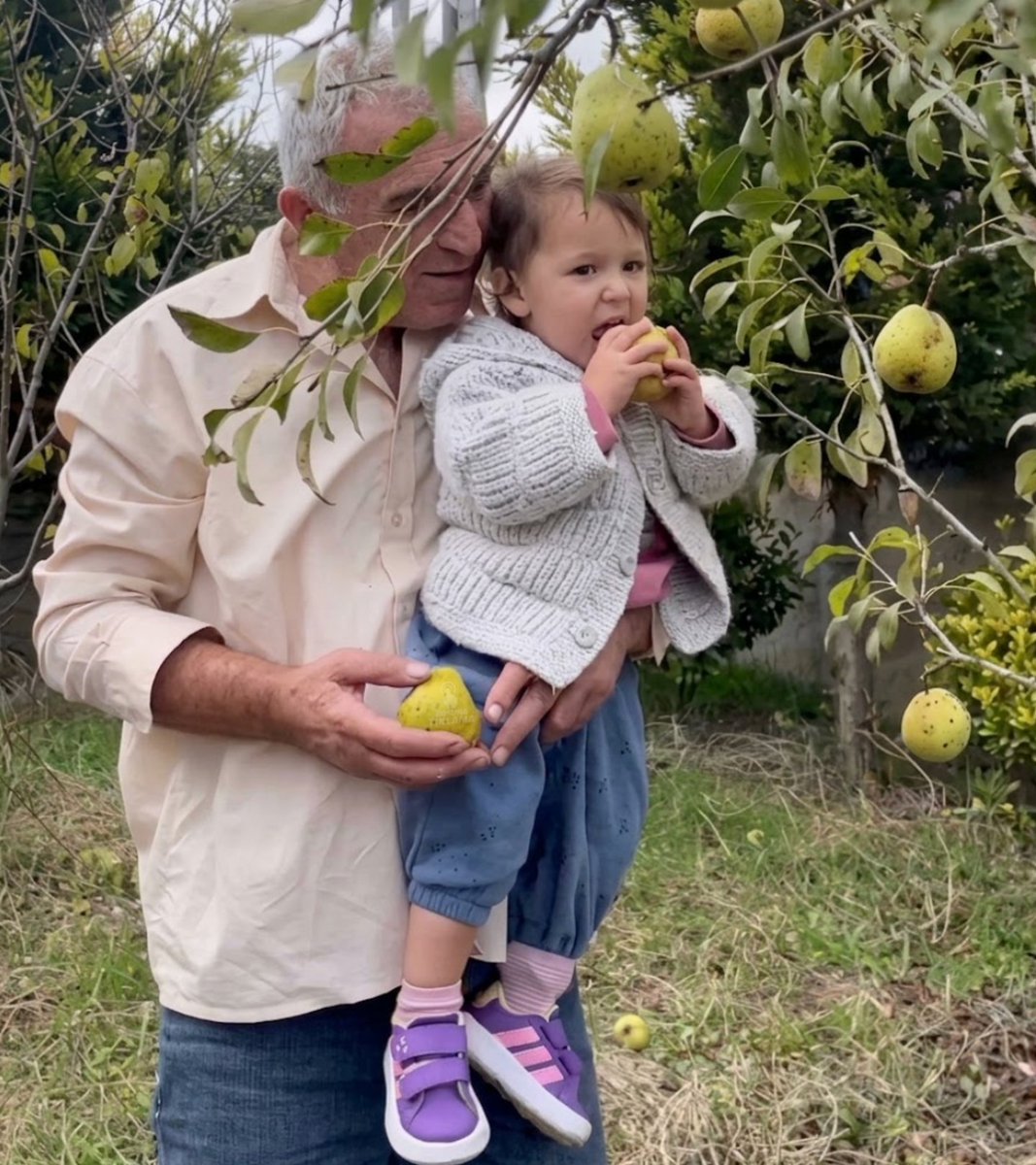 bosunatiklama's tweet photo. 6 aylıkken dedesiyle birlikte meyve fidanı diken bebek, 2 yıl sonra ağacının meyvelerini topladı. https://t.co/HweraqazlS