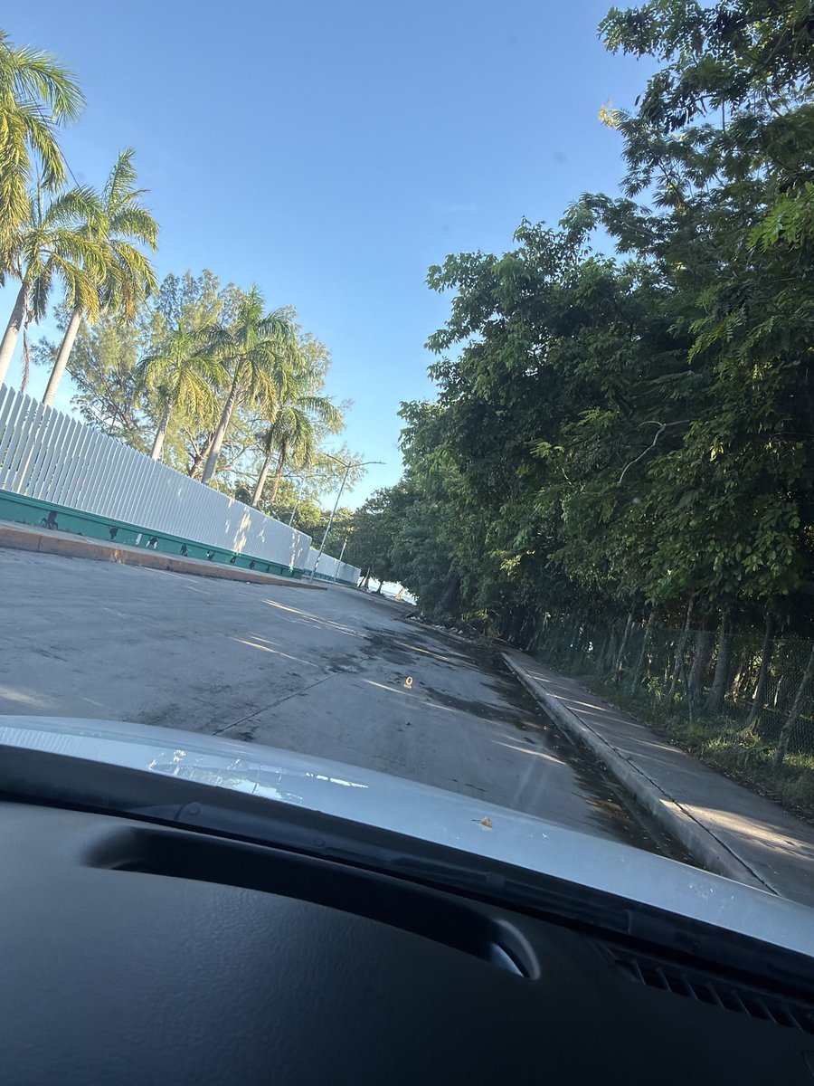 Grecko131's tweet photo. ¿Quien anda por Jardín Botánico? 

Está playita se usa para bañarse 😬? 
Ciudad del Carmen, Campeche https://t.co/NzjWVMBqy5