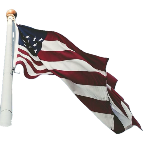 S_AMIN_D__TRUMP tweet picture