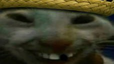 xddmemeofficial's tweet photo. xdd https://t.co/WXSumzCEup