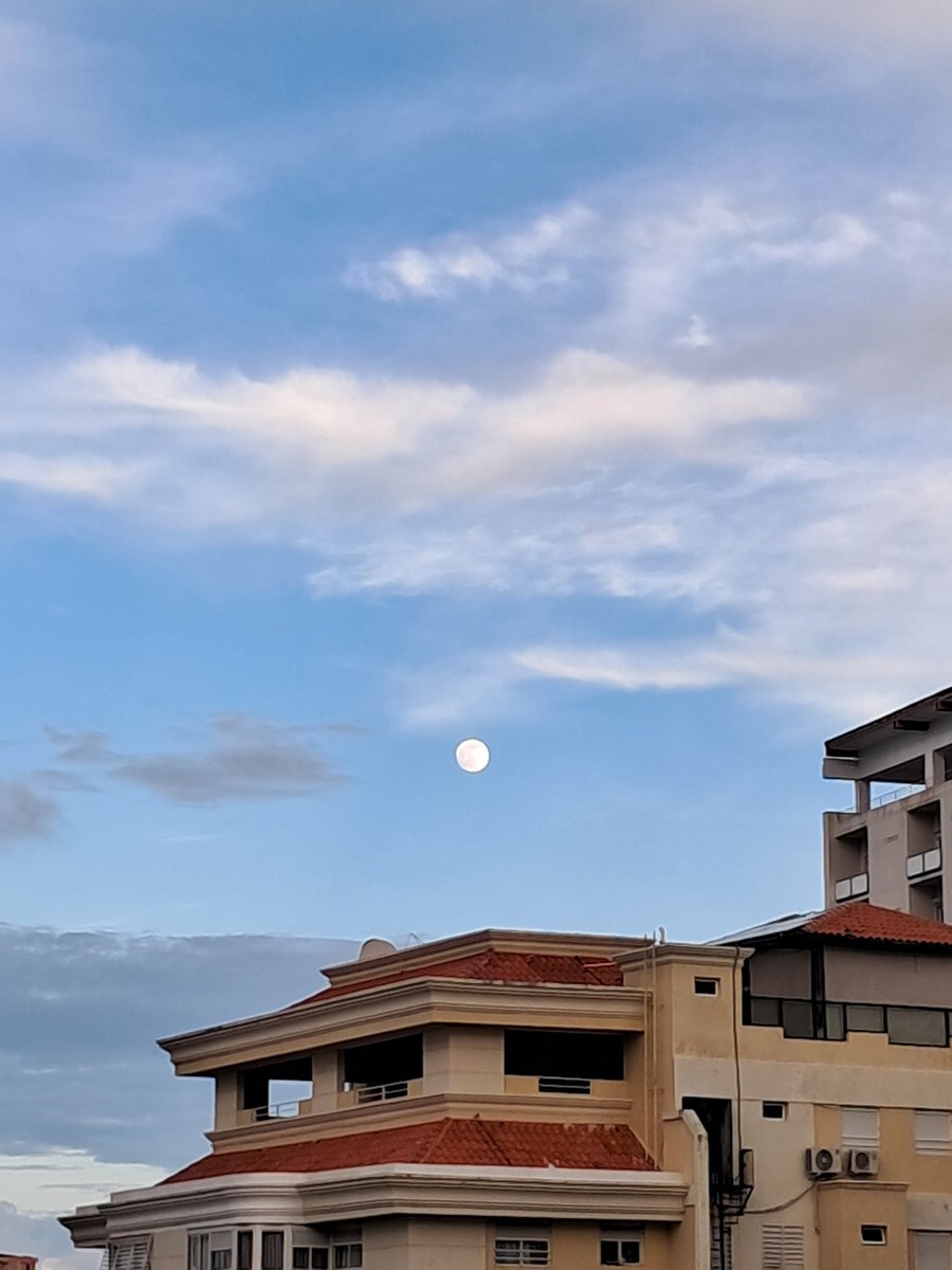 Ratehol's tweet photo. Luna
Lobo en el tejado
Hombre en la calle https://t.co/Dx4SqE3bln