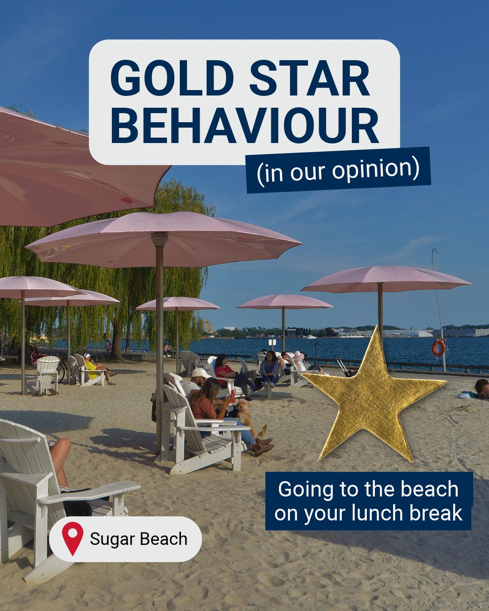 WaterfrontTO's tweet photo. How many gold stars did you get? https://t.co/RnhQZlRqjv