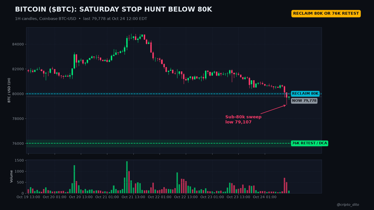 cripto_dito tweet picture