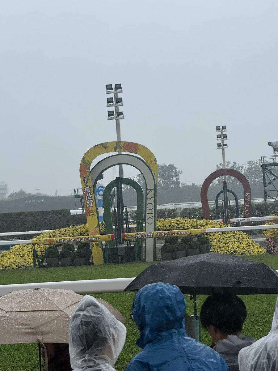 Houseki21's tweet photo. 11年の時を経て京都競馬場にきましたぞ〜 https://t.co/inSPbdk3IC