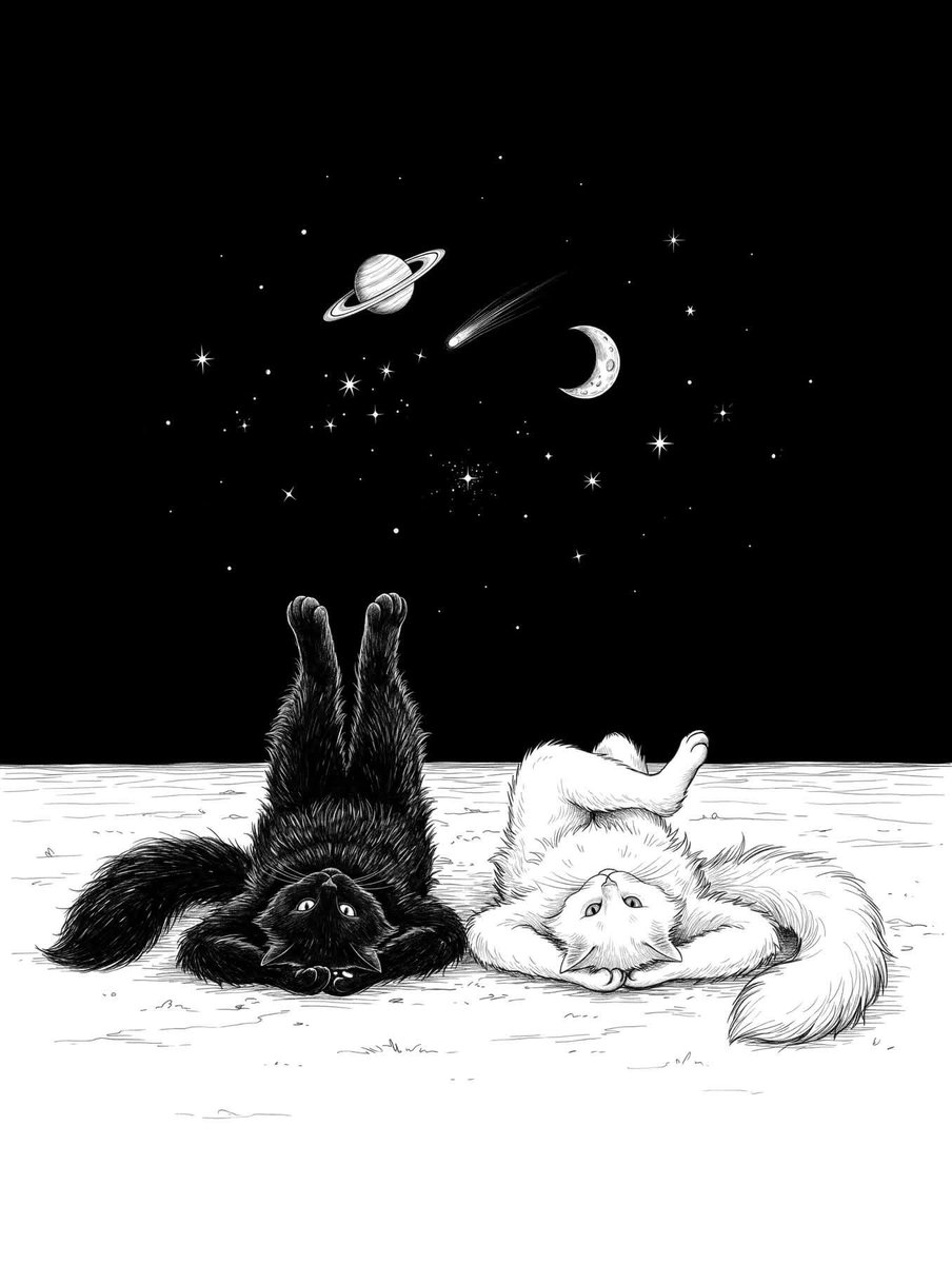 Ethna02's tweet photo. Noches … 🥰✨✨ https://t.co/g2wPCR40Mk