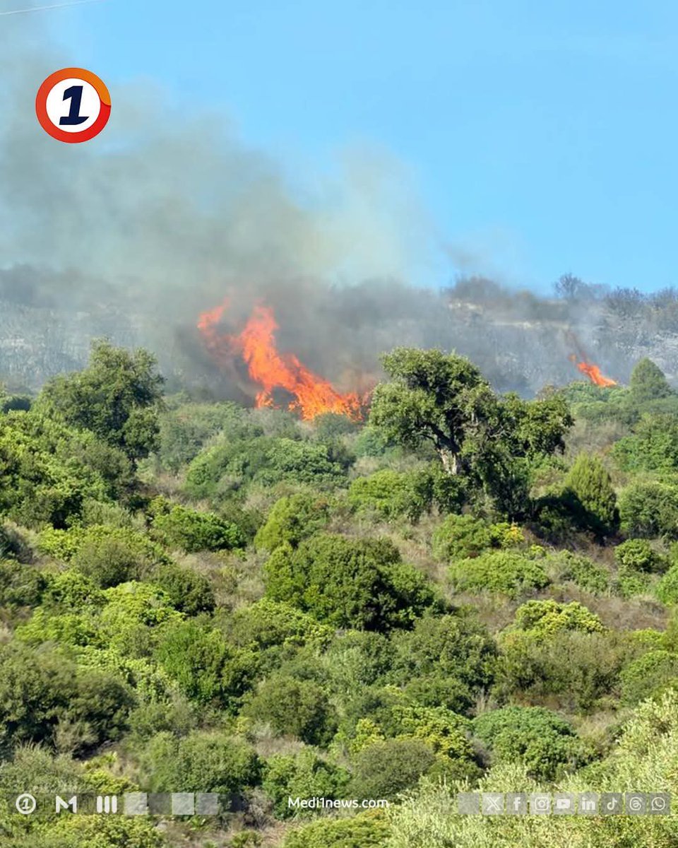 KOMARMIES's tweet photo. Forest fire #firefighting operation today in Kebash area of Bni Hassan, between Tetouan and Chefchaouen #Morocco.
Around 170 personnel supported by Royal #Moroccan Air Force 🇲🇦 CL-415 #Canadair 🔥 aircraft and firefighting vehicles #Maroc 📷 @medi1radio https://t.co/HUrN4FkJIo