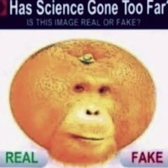kabbage's tweet photo. @wiggerchud https://t.co/XlFEleyonS