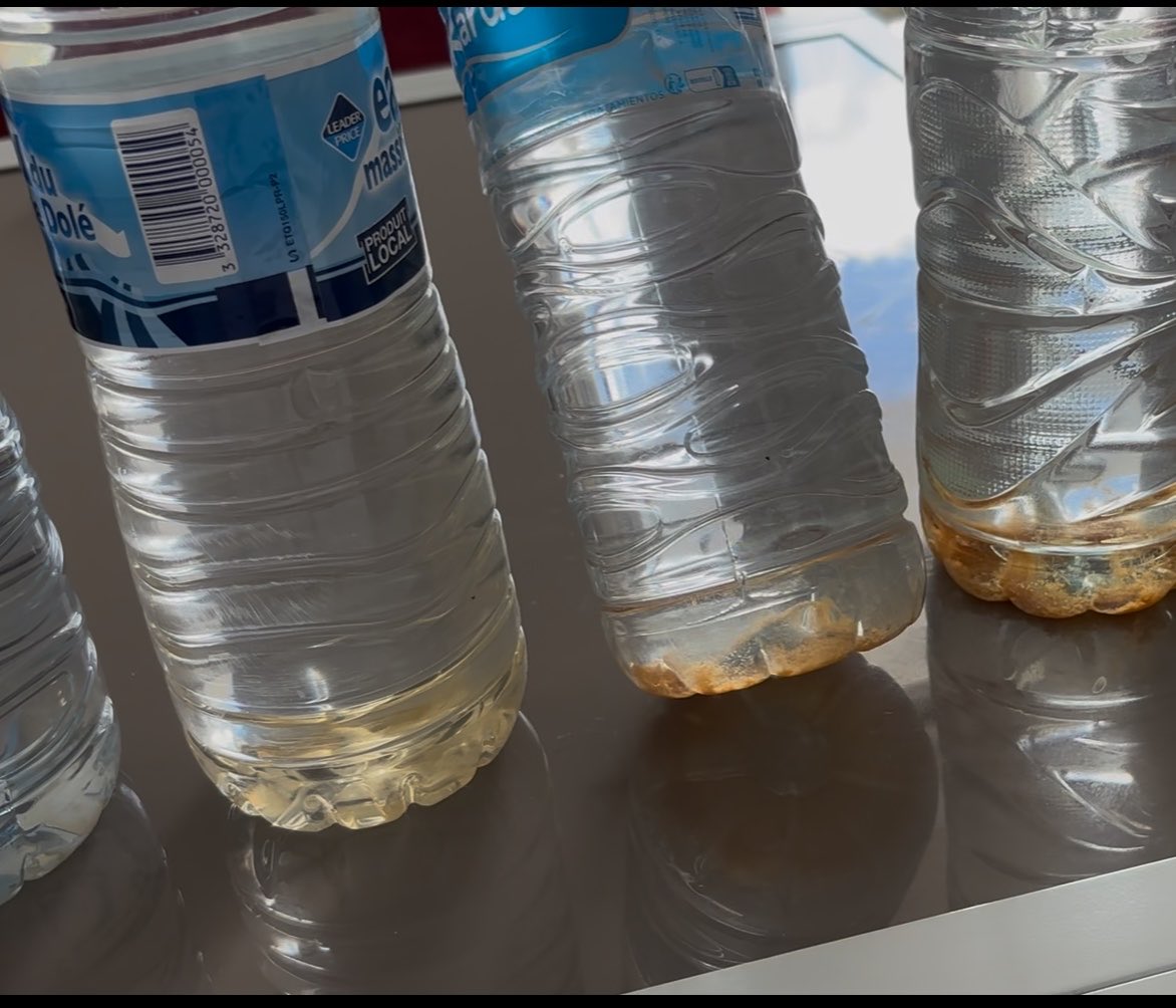 Mieliyssa's tweet photo. Et pour information voilà à quoi ressemble l’eau des robinets quand on la met en bouteille si on la laisse quelques jours sans la chauffer (donc imaginez les dépôts dans les réservoirs des particuliers). 
Même robinet mais eau tirée à des périodes différentes https://t.co/9dJZRWSf7Y