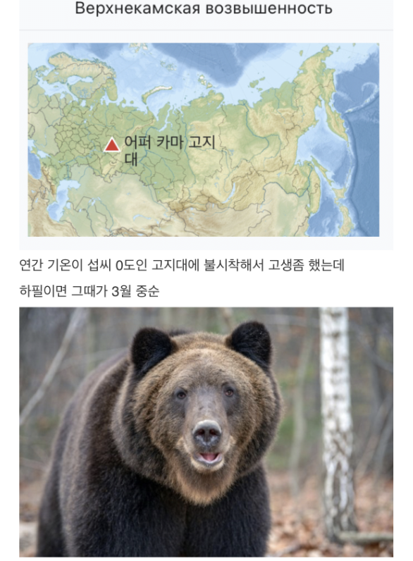 laterinfo_'s tweet photo. 아 드디어 지구네 집에서 편하게 쉬어야겠다..
??? : 우주가 그립게 해주지 https://t.co/roi5KRWvnj