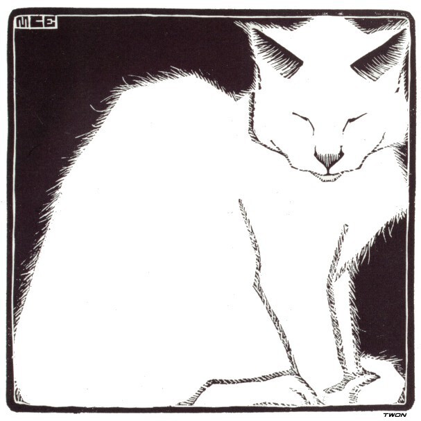 artistescher's tweet photo. White Cat I #artbots #escher https://t.co/q3fkeZPG3I