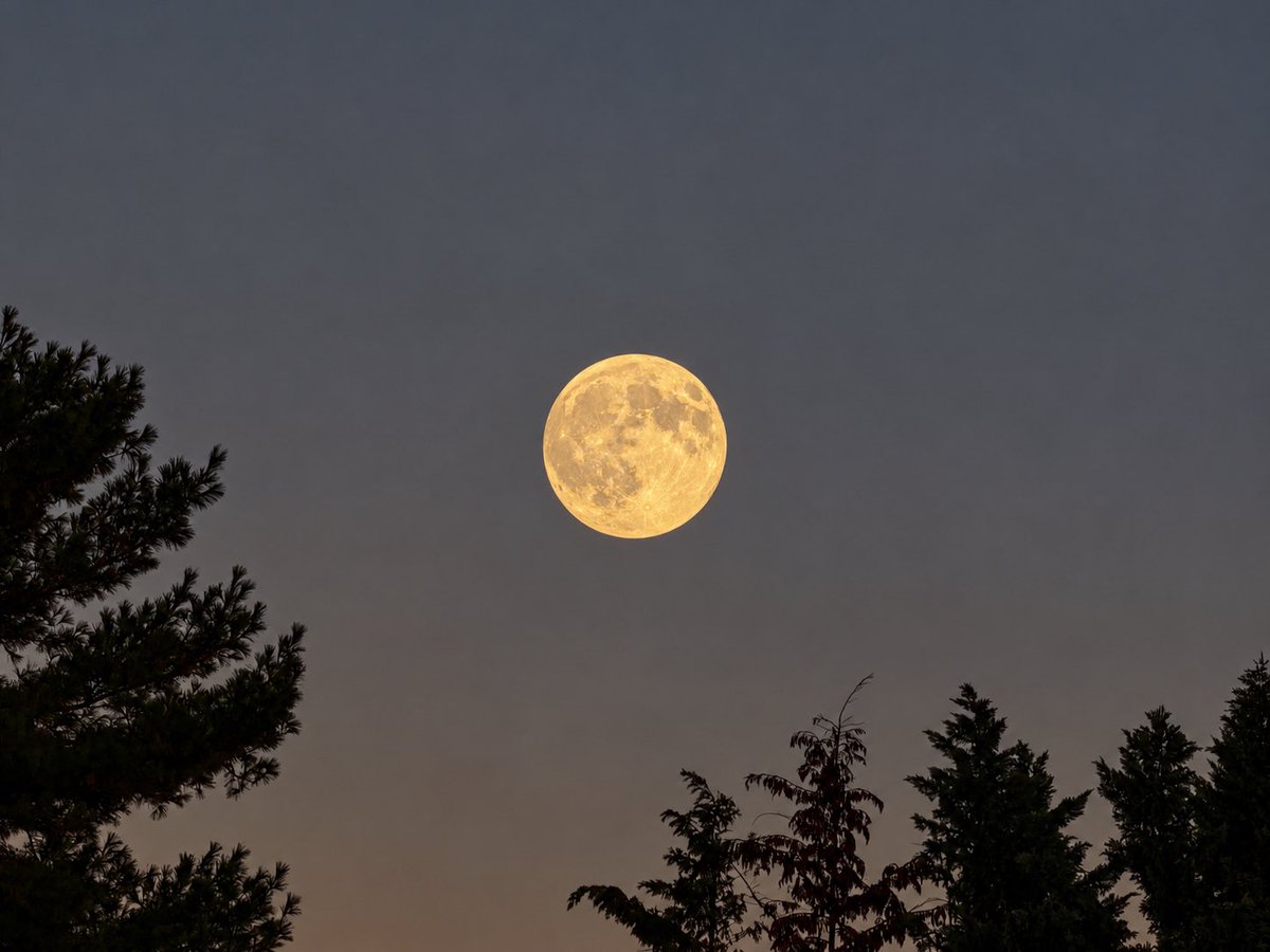 JustinWeather's tweet photo. 🌖 Moon Over Maryland
🤩The moon is amazing this evening. 
Just leaving a dual birthday party in Westminster and saw this.
🎂 We can call this an extra gift for our friends Beth and Bryan Nave. 

The moon will be full on Monday Oct 26.
#moon
#Maryland https://t.co/FtGGFWoBX1