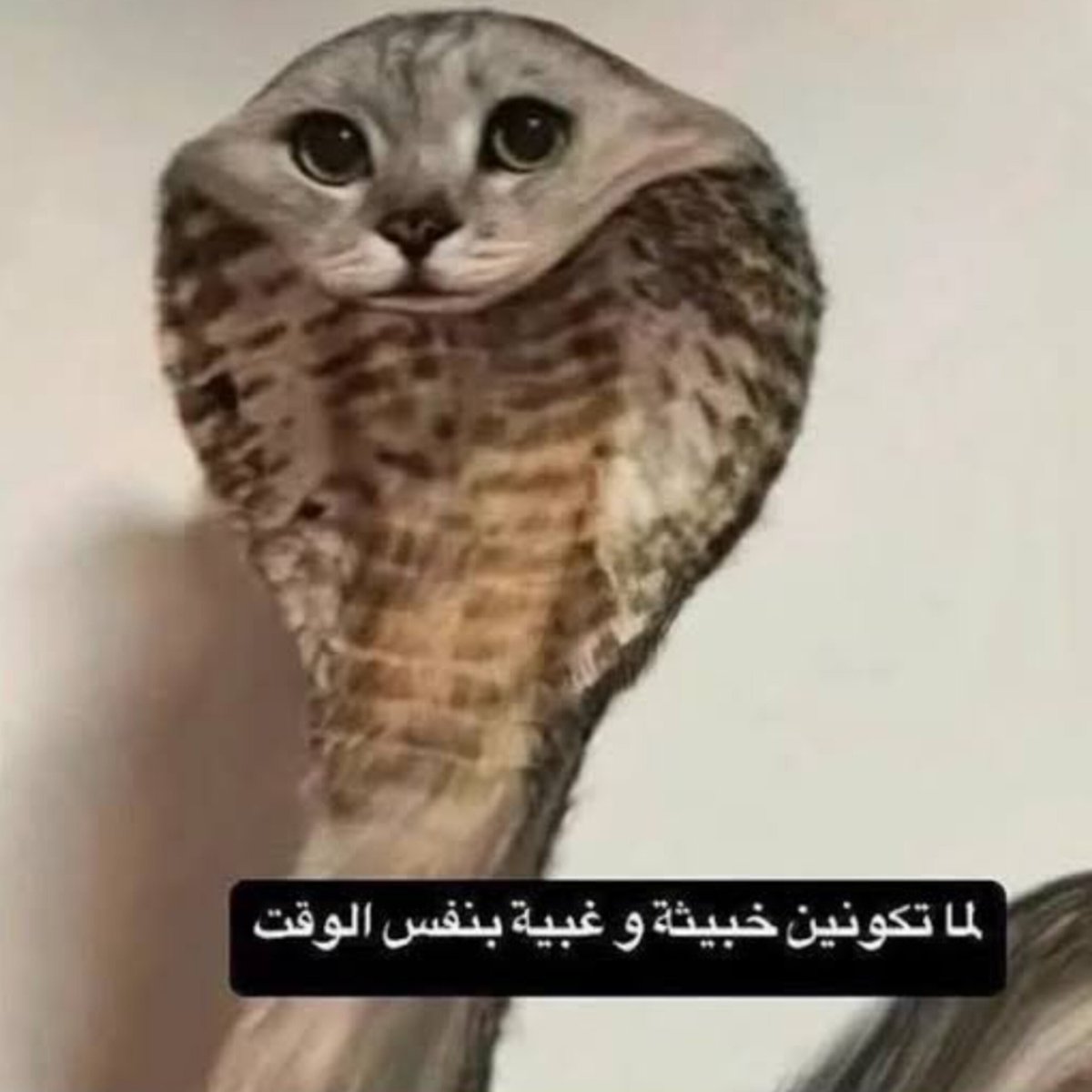 pittakant's tweet photo. مسرب مقطع وان عشان يدمر مسيرته الي مابدأت وتكنسل انتاج المسلسل الي هو البطل حقه بسببه https://t.co/LhtTQmZ1fm