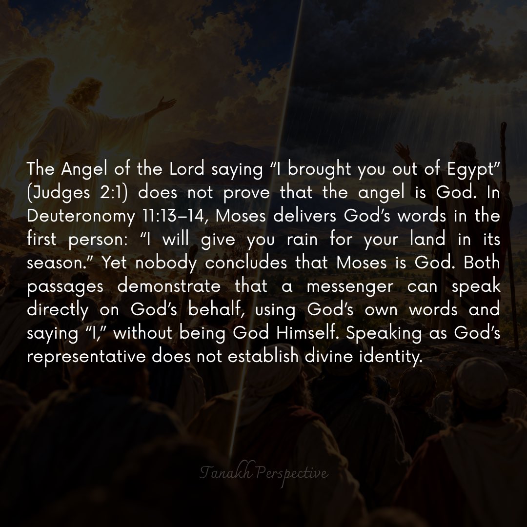 LightofTorah tweet picture