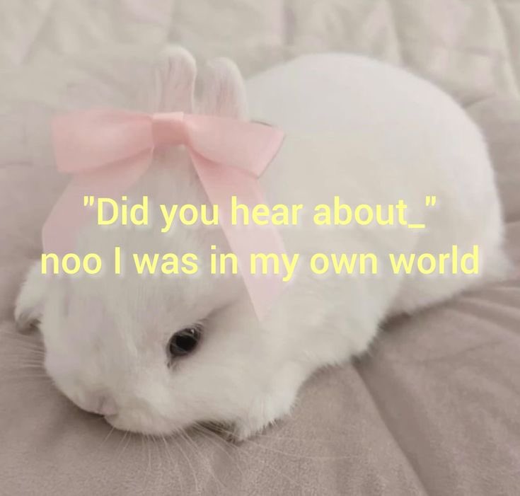 leporinecore's tweet photo. #bunnycore https://t.co/NJ28SapHmh