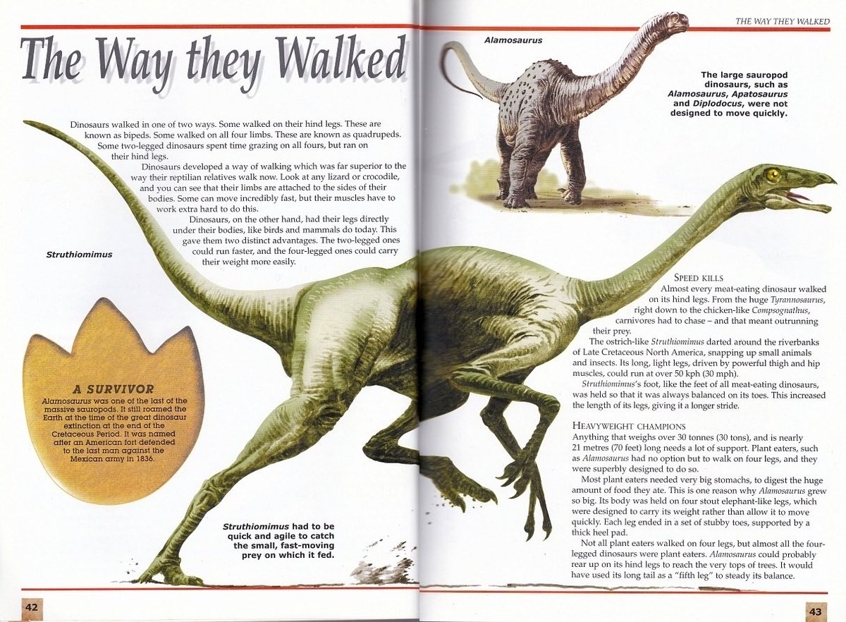 Brand0nsm181274's tweet photo. I remember having this book https://t.co/gali2cUnx4