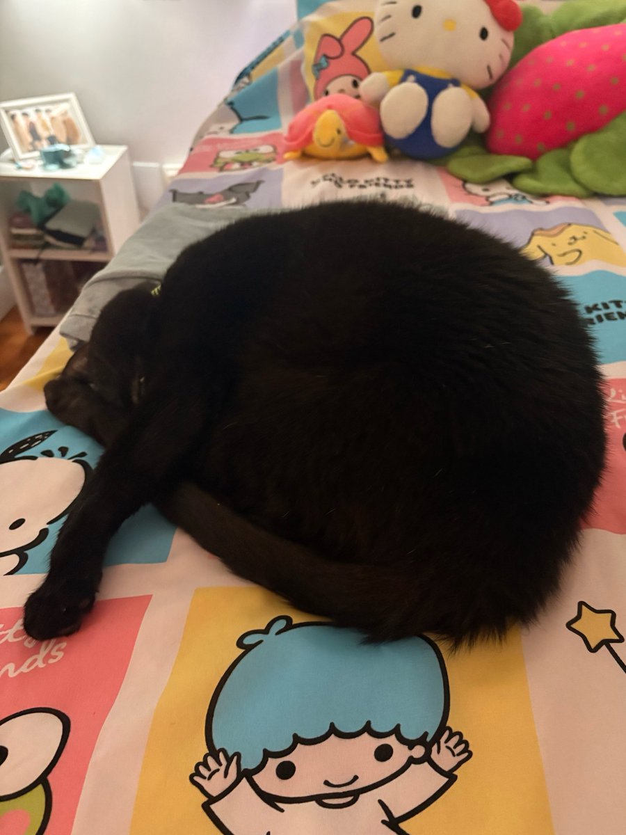 teamobacana's tweet photo. o grupo gatos em silêncio está vivo e bem e o bacana tem novamente o prazer de ser foto de perfil muito obrigada a todos https://t.co/WgiLGwsck5