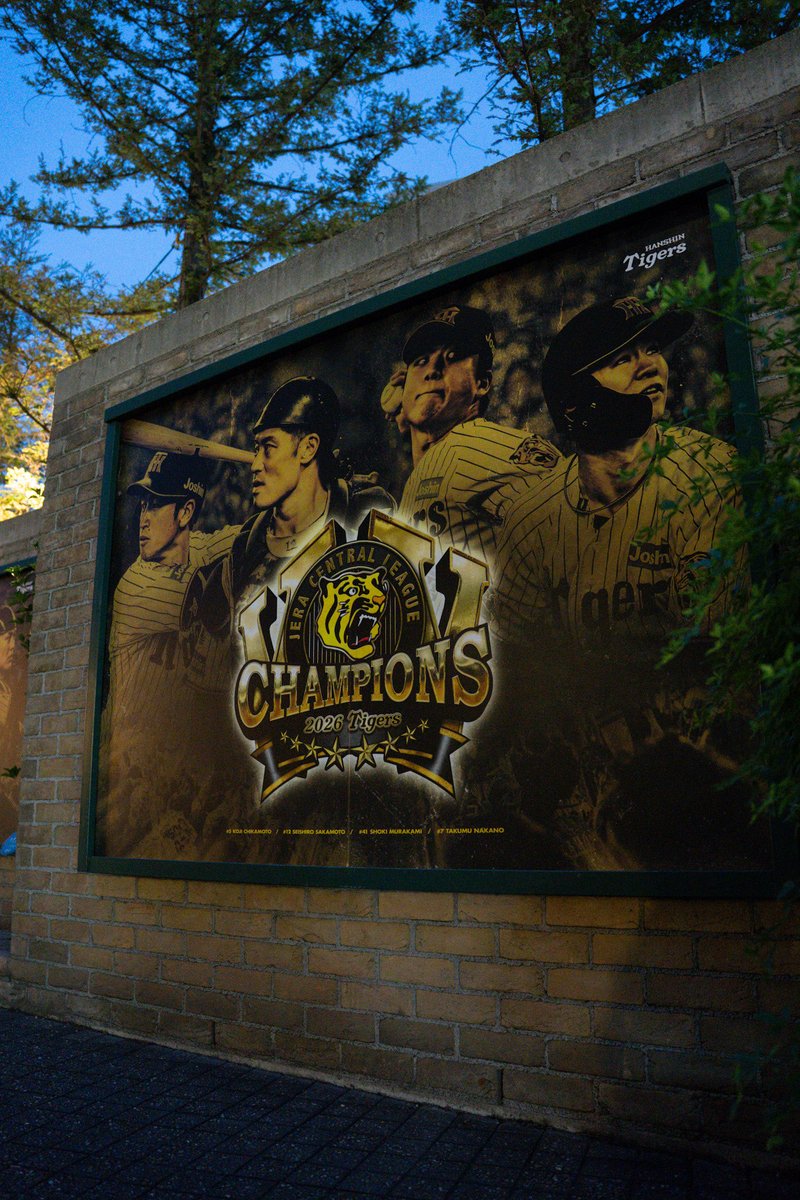 yuuu_yu__'s tweet photo. 明日から球場外周工事👷で見れないね😭
#甲子園球場　#阪神タイガース https://t.co/IUrEOXOOcT