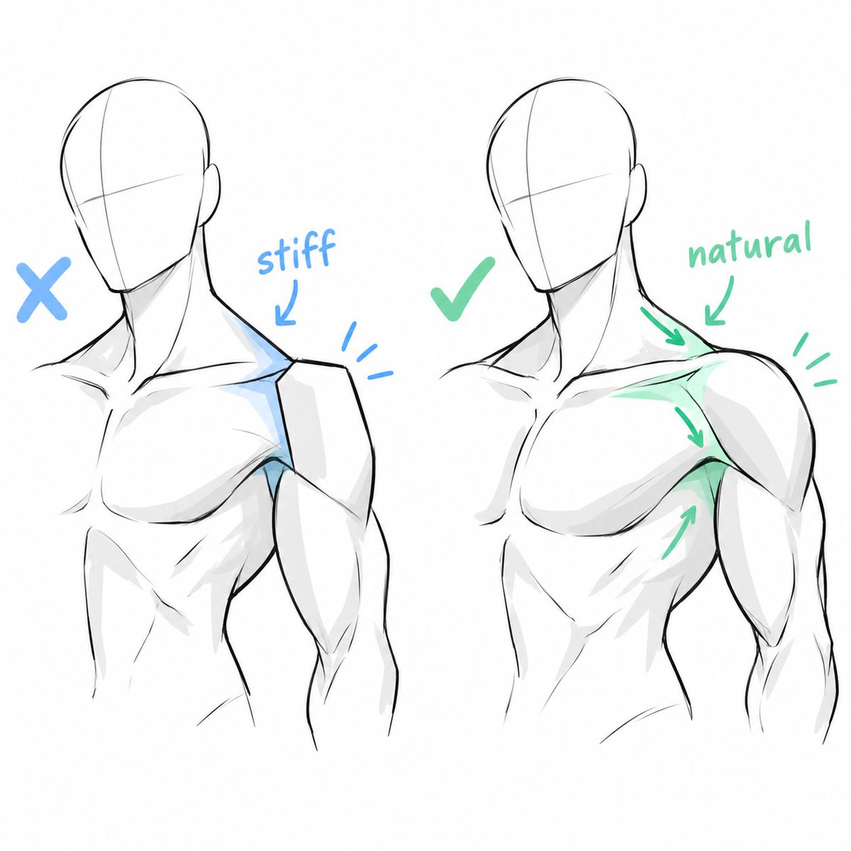 ezdrawps's tweet photo. Shoulder reference https://t.co/IiqHf7cf7P