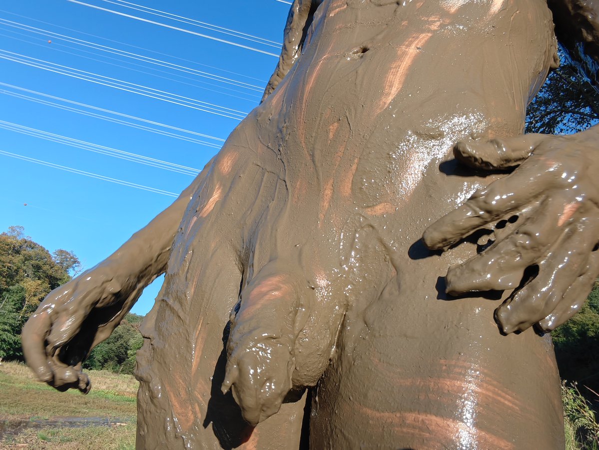 TannerQSNB's tweet photo. Muddy wataa! https://t.co/4rSxqBBVpC
