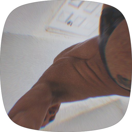 AlejandroB5250's tweet photo. Sexy ass 
#miami https://t.co/4oqeet6eCR