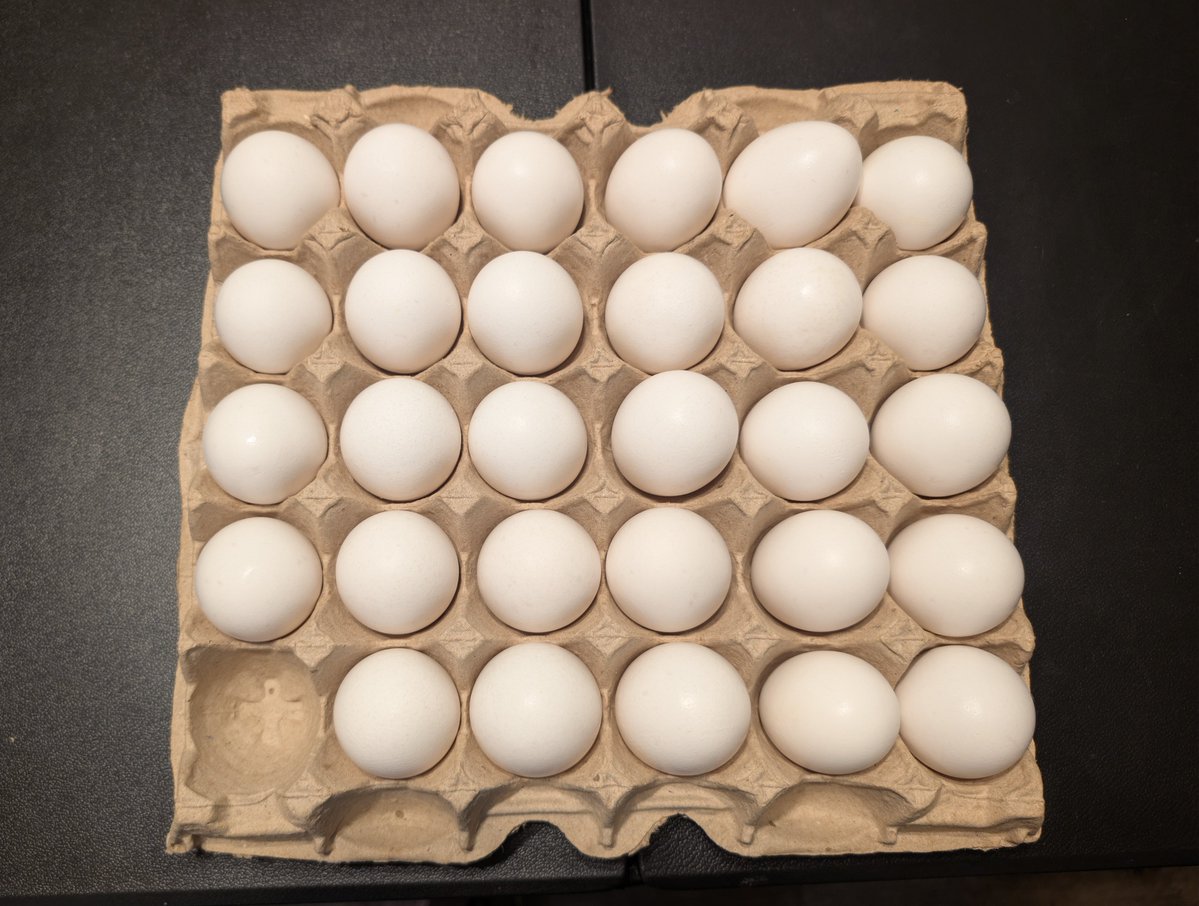 BoundaryBreak's tweet photo. Look how many eggs I got for 3 bucks https://t.co/YIPPAfAyEa
