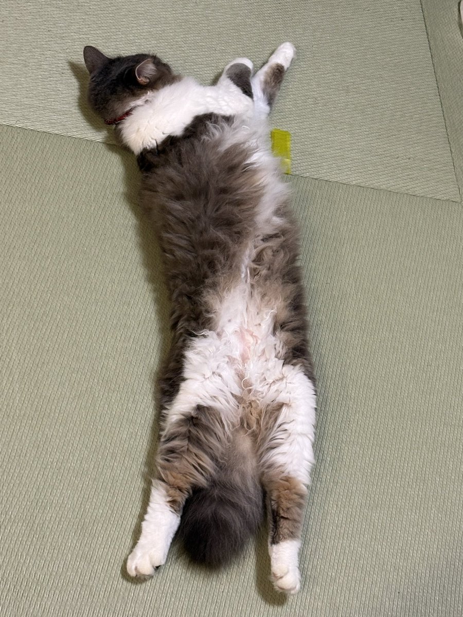 sk___choco tweet picture