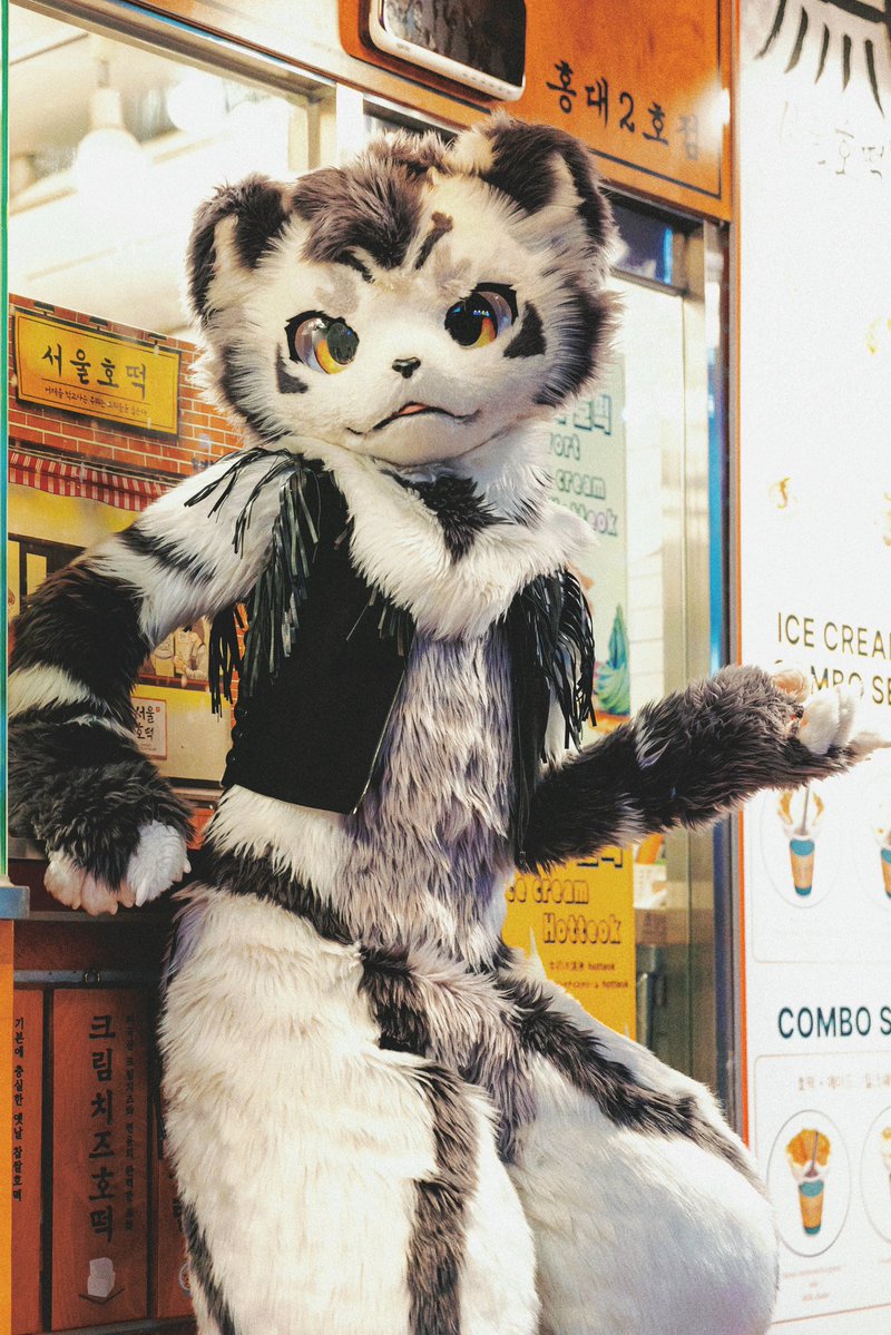 FurryGintan's tweet photo. 准备出发墨西哥Confuror！！！
非常荣幸能作为嘉宾参与这次的活动，这是我第一次到墨西哥！！我很期待见到不一样的人文风情和那边的Furry fandom文化！！
大家一起开心的跳舞吧！！！
Gracias a ustedes
#confuror2026 https://t.co/91ztOODYsp
