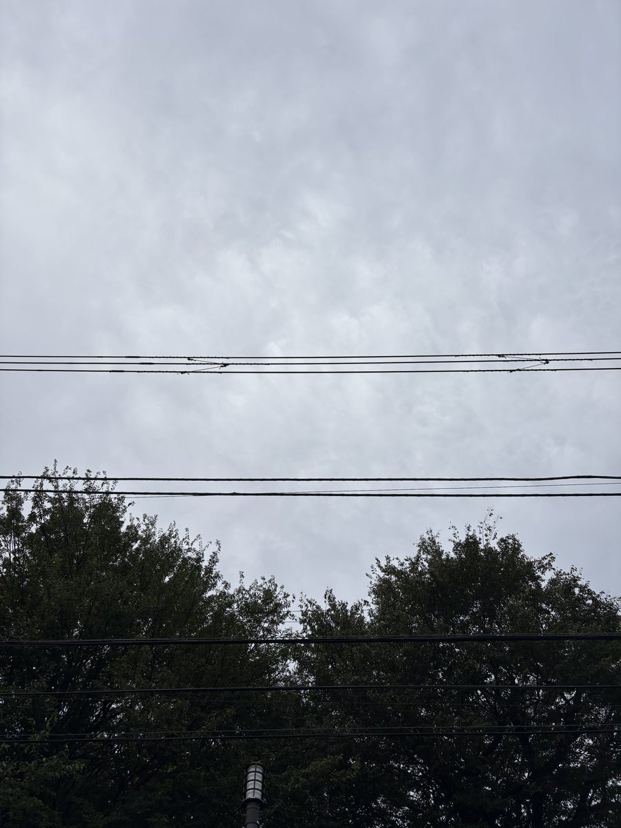 nihonzindesu__'s tweet photo. おはようございます。
本日の東京都最高気温26℃予報
朝晩はやっと秋になりました🍂
仕事の方もゴルフラウンドの方も1日をお楽しみください！ https://t.co/HvxTT69S0c