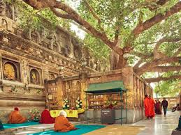 13Sharmila's tweet photo. Ashoka https://t.co/6797Mutnj2