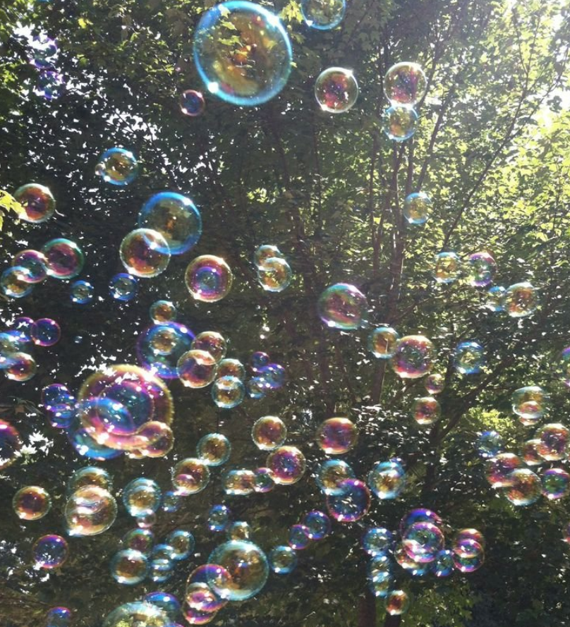 petalesblancs's tweet photo. bubbles https://t.co/lEwSrIz6e9