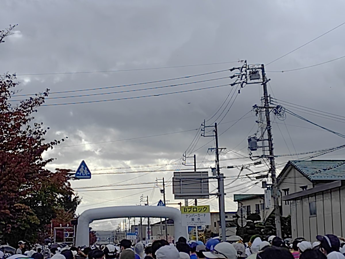 suna_forest's tweet photo. 雨の降り始めが早い https://t.co/YWIDPqHrsm