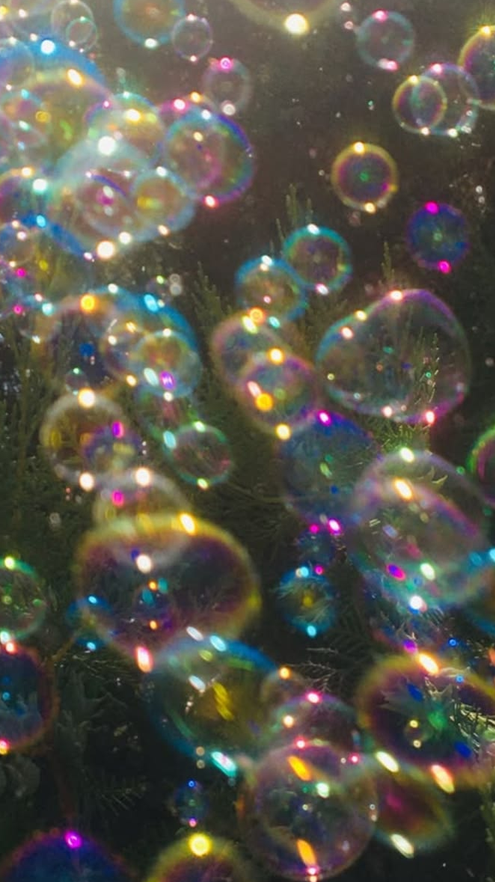 petalesblancs's tweet photo. bubbles https://t.co/lEwSrIz6e9