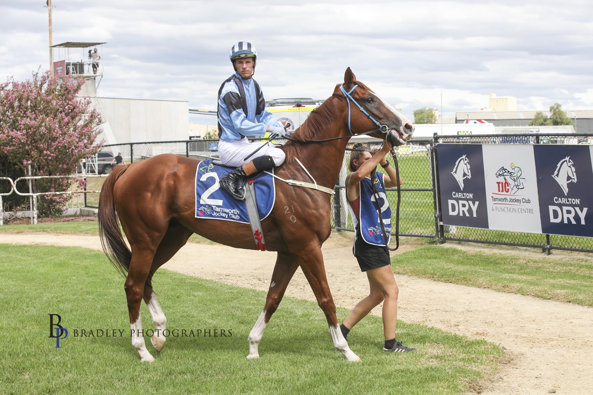 camcrockettrace's tweet photo. Two in the feature as we take three Coonabarabran for Cup Day today 🙌🏆

🔹TAIPAN LEGEND👇
〰️ 1600m Showcase Cup -R7- 〰️
The 6YO returns to his preferred mile third-up, boasting five wins and two 2nds from nine attempts. @NickHeywood8 reunites from gate 4 with the opportunity to roll along and make it a front-running test.

🔹ALABAMA BLITZ
The 5YO steps up in trip after a strong-finishing Scone 2nd on her stable debut. Grant Buckley rides at 55kg from gate 10, looking for cover off a solid tempo and the chance to build late.