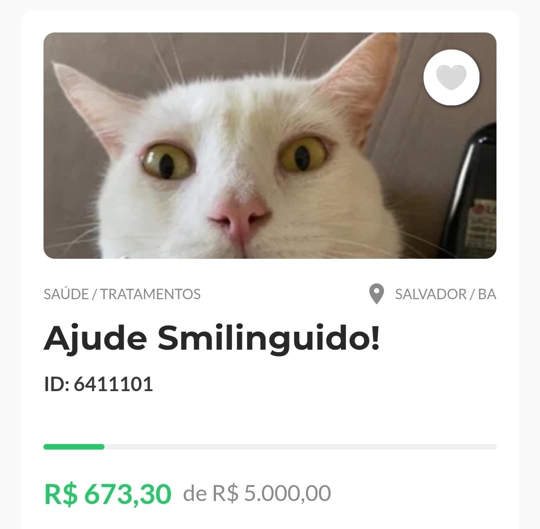 Guitourinho's tweet photo. Oi, gente. Mudando o assunto rapidamente!! 

Meu gato está sofrendo de doença renal e FIV, e criei uma Vakinha para ajudar a custear as despesas. Caso não consigam ajudar financeiramente, por favor, compartilhem!! 🐈❤️

LINK:https://t.co/fulrdufVFZ https://t.co/jSL8F777uc