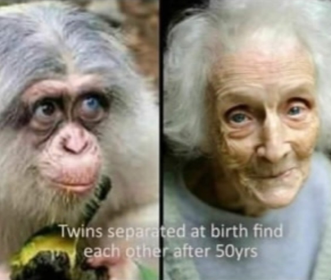 InstaScr0ller's tweet photo. @Dillis_Memes We wuz zooperior good looking hoomans and shieet!! BLAAXXXXX! https://t.co/kCrWD2pHCL