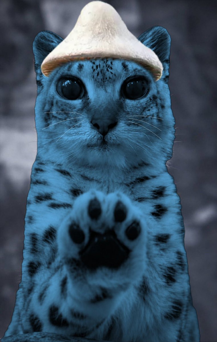 SarahWashed tweet picture