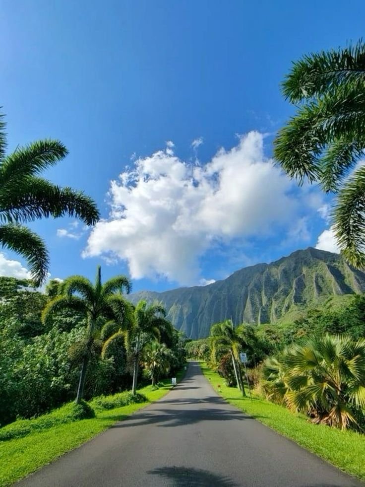 echoesofworld's tweet photo. Bora Bora https://t.co/E9g7J531cV