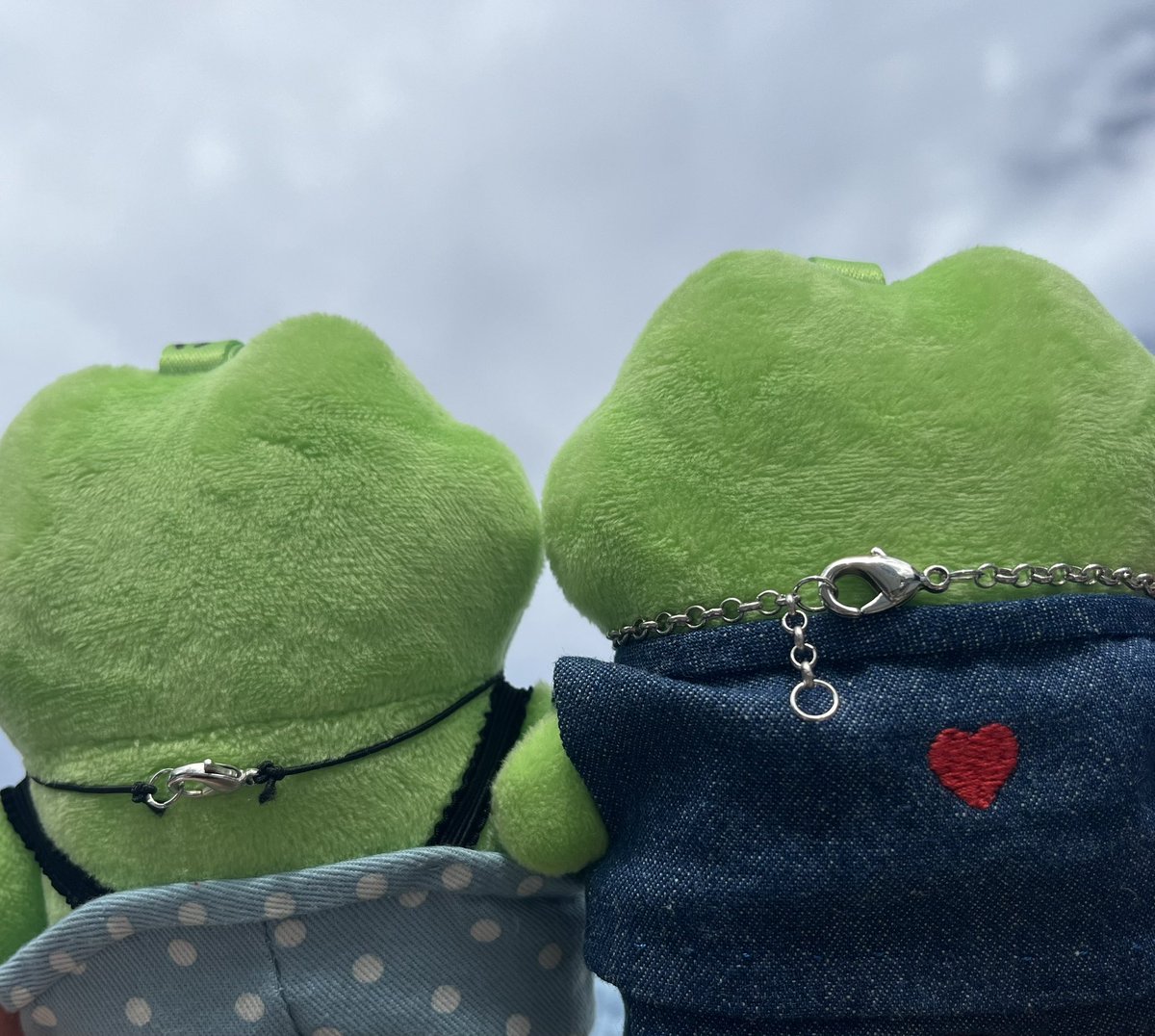 omochiyo's tweet photo. 🐸名古屋のお池っコ達楽しんでるかな？
🐸お空は繋がっているよ！ https://t.co/q7TEsoAbN2