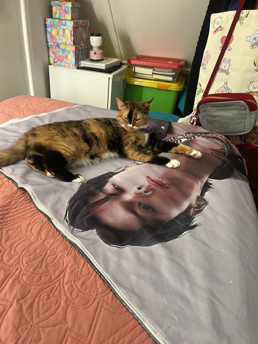 jungherbst's tweet photo. Ella AMA la manta del Jungkook (se nota que es mi hija) 💗 https://t.co/1YXxxhuqvX