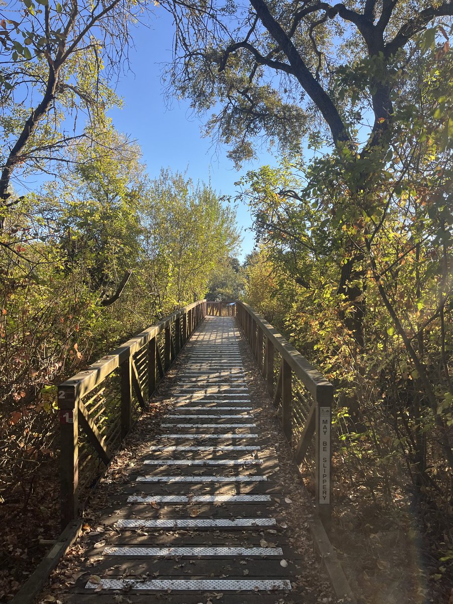 MarkRCondit's tweet photo. Cosumnes River - first day of Duck hunting season right ? #GreenLights https://t.co/azSYSRwtAZ