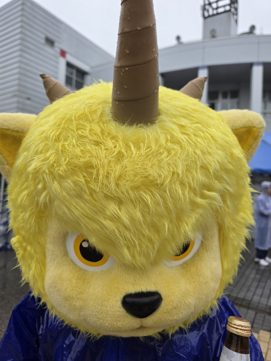 n_tomomomomo86's tweet photo. 雨の中散歩してたので濡れたゴールデンレトリバーみたいになったディーオくん https://t.co/D9R5BkVDnG