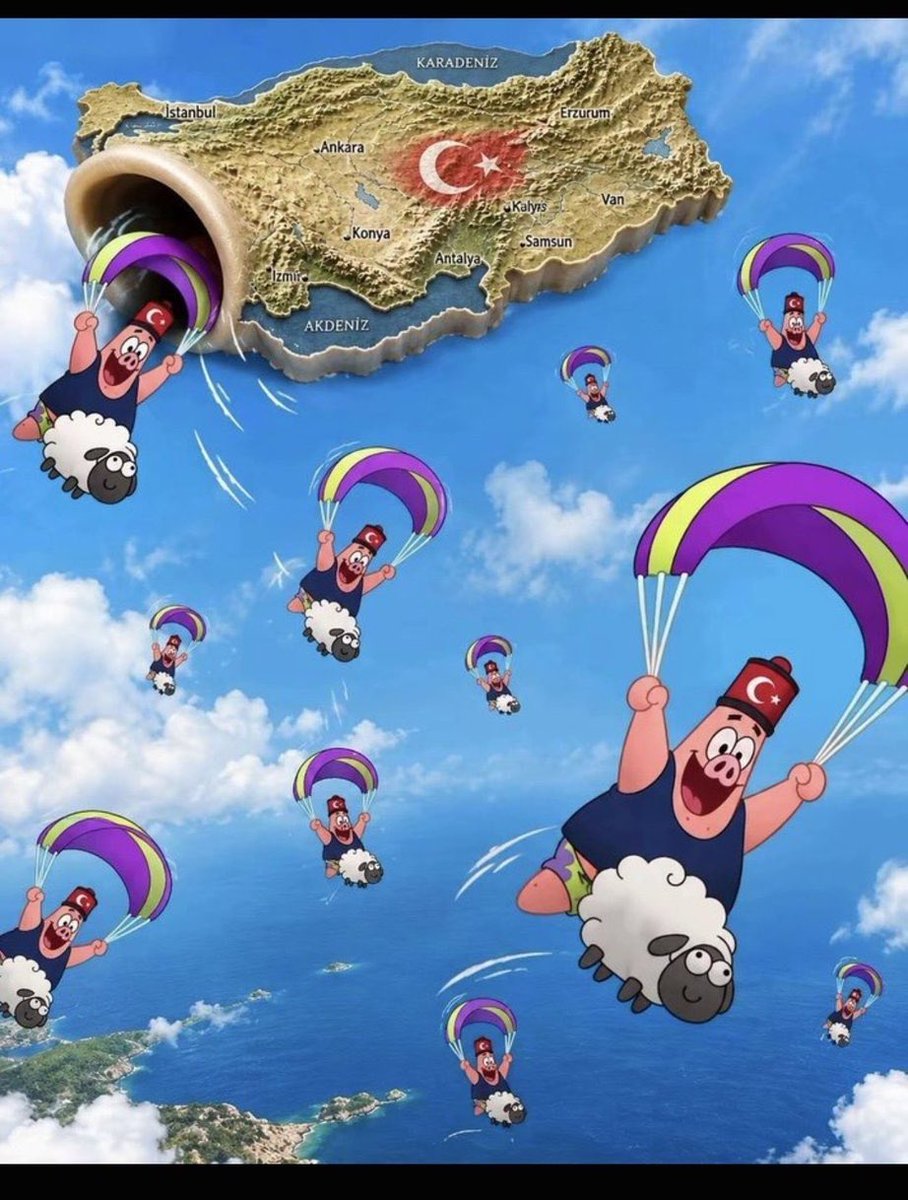 cao_dino's tweet photo. @neslihnceylan Allah t’appelles de prendre les porcs pour tes ancêtres, quoi faire mdr ?? https://t.co/9cPS3PwSns
