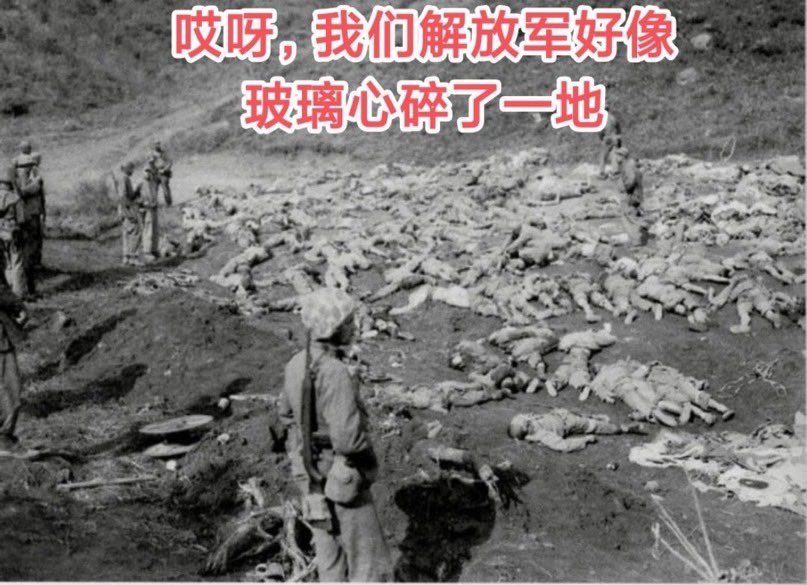 Zty1084838's tweet photo. @zet55243009 @divayimbitanesi 我讲现实发生的事，你跟我讲意淫的事，你是真的急阿支那猪😂😂😂 https://t.co/3G1sFKPjFL