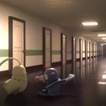 Photo by Corvzel (@corvzel)