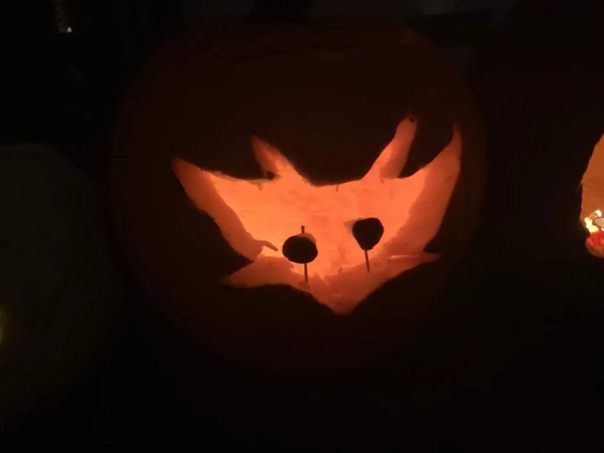 MintyJane85's tweet photo. Valem pumpkin :P
#pillarchase #pillarchase2 https://t.co/vQIh8Zt3aJ