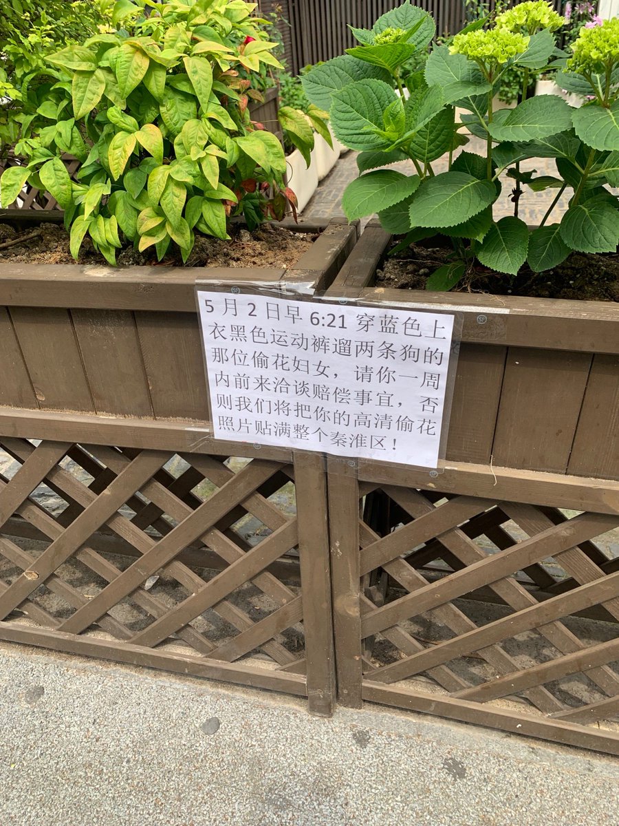 Junko2mtd's tweet photo. [最近巷で見た奇妙な張り紙、「榔毙逃菊夹」って文字が何のことか全然わからない…誰か知ってる？]， https://t.co/xAxm0s7T54